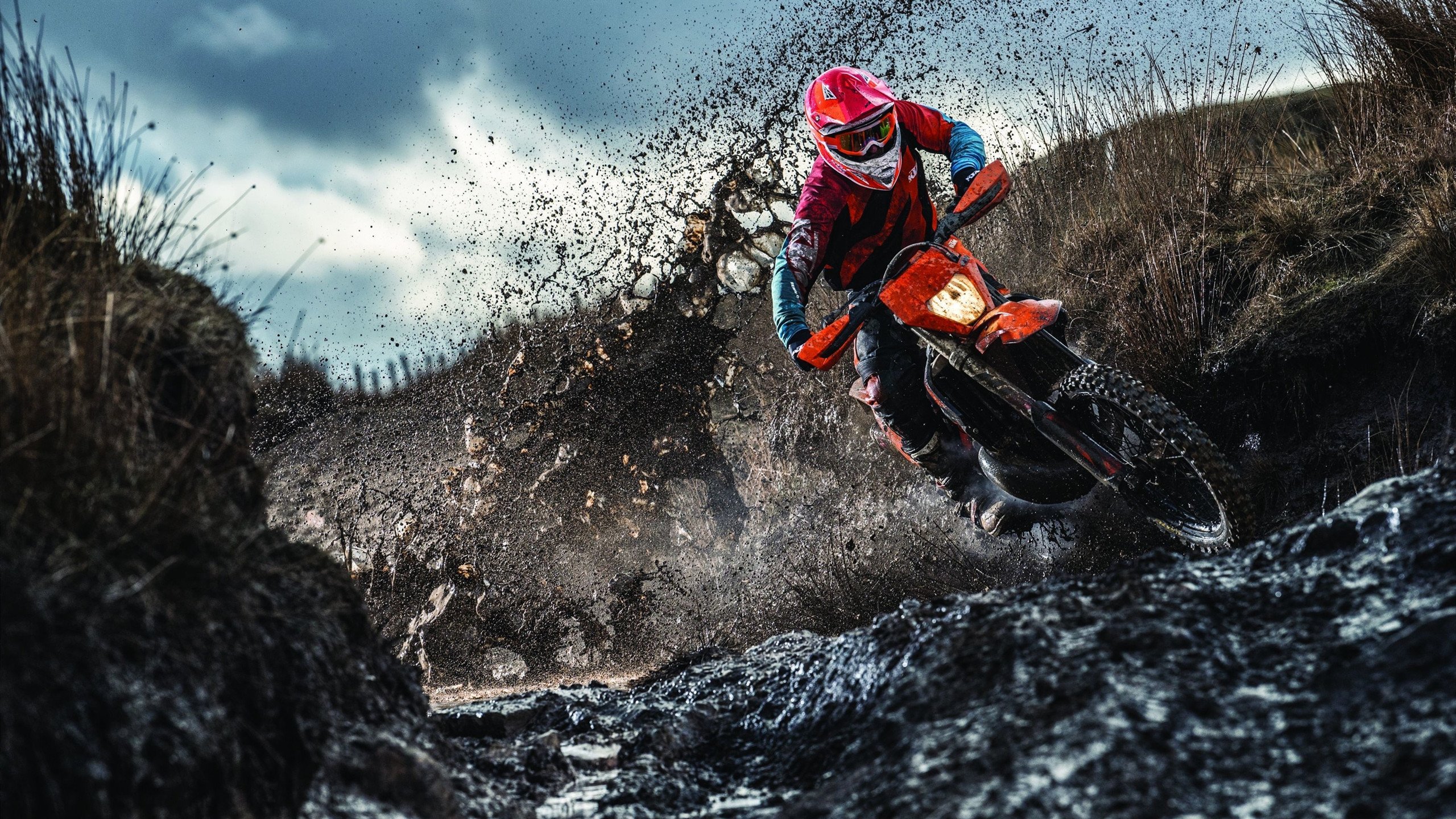 亚洲力量崛起，日本队完胜法国队，李梓嘉刷新纪录的双重震撼